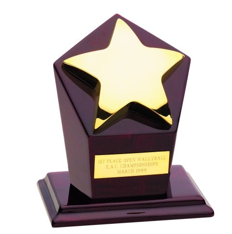 Gold Star Runner Up Award
