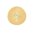 Starburst 14 Karat Gold Tie Tack with Diamond