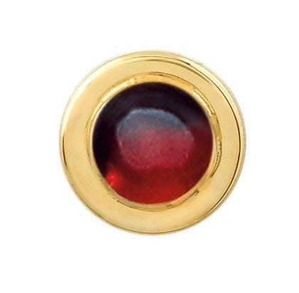 14 Karat Gold & Garnet Tie Tack