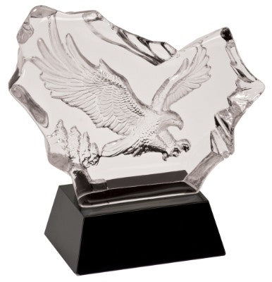 Personalized Etched Flying Eagle Award